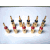 [÷]
DSC02545-1.jpg : 72Kb